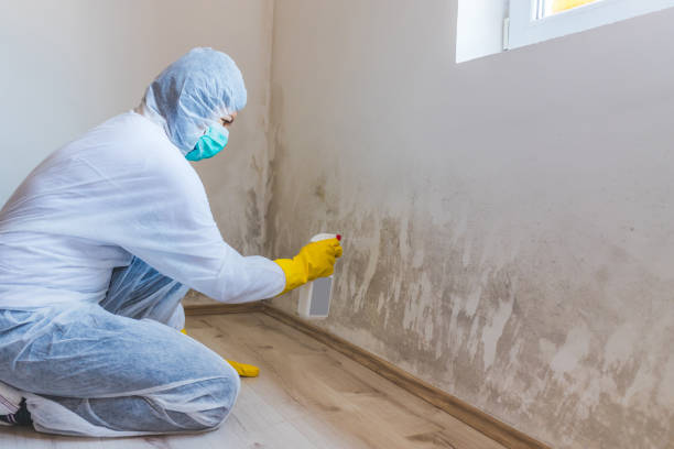 Licensed Bathroom Mold Removal service in Tyrone, PA - WQB Mold Removal
